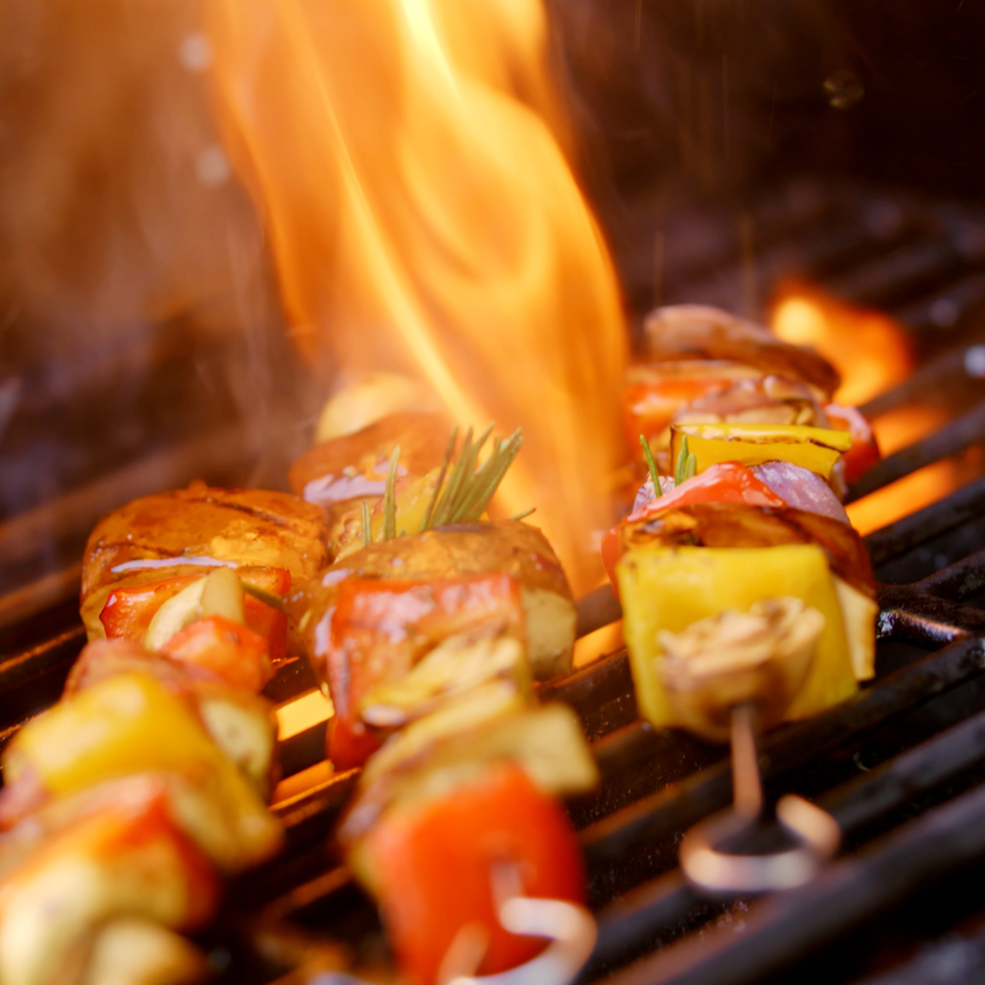 Sequence 01.00_00_15_22.Still001