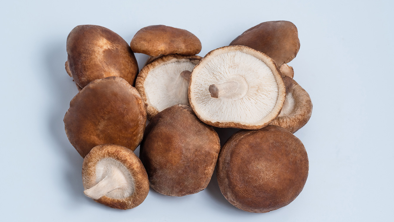 shiitake-mushrooms-1