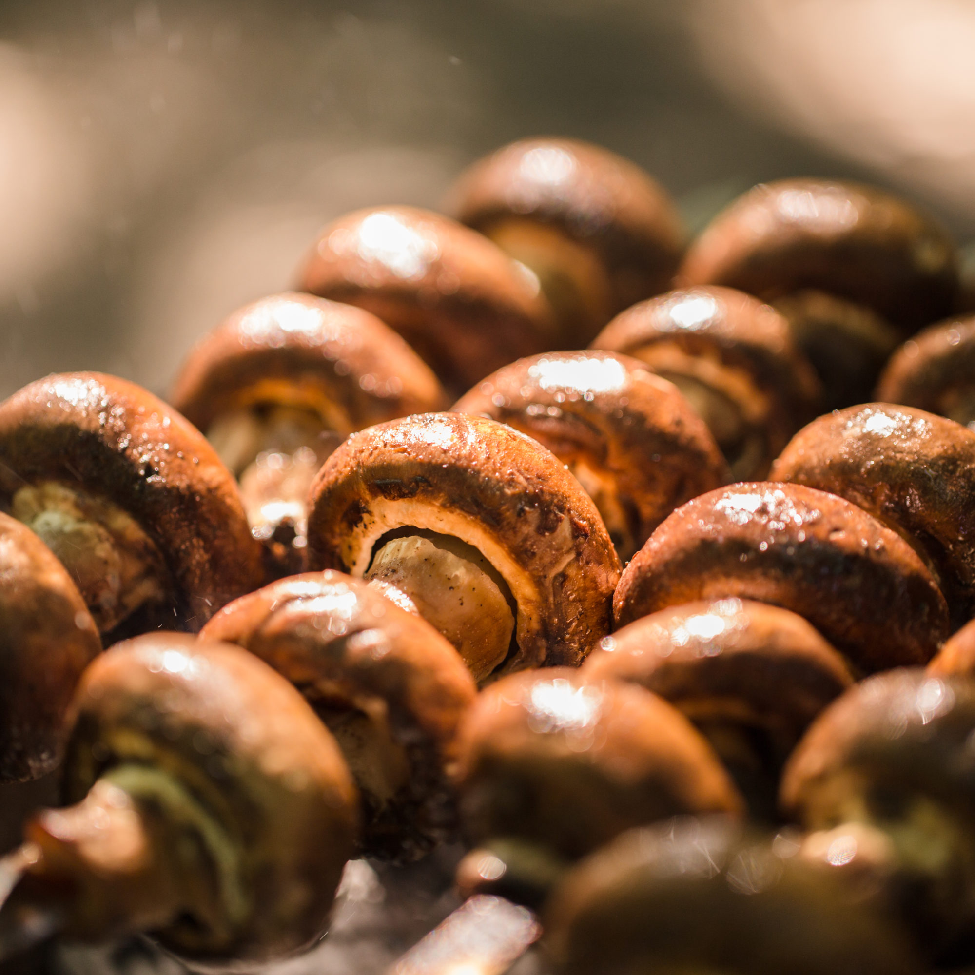 vegetarian skewers made from mushrooms on the grill outdoors.