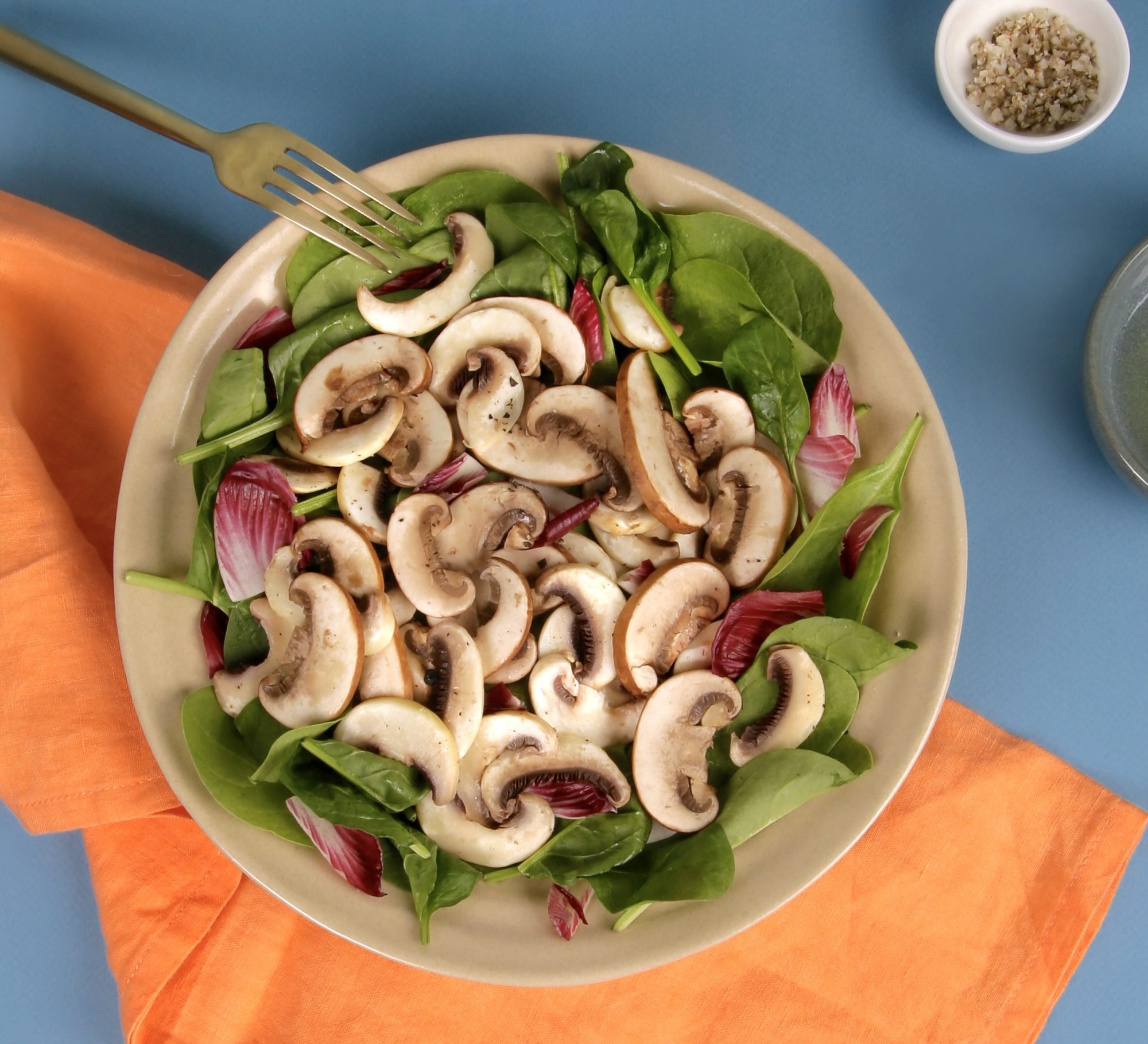 16- ESPAGNE – Salade de champignons