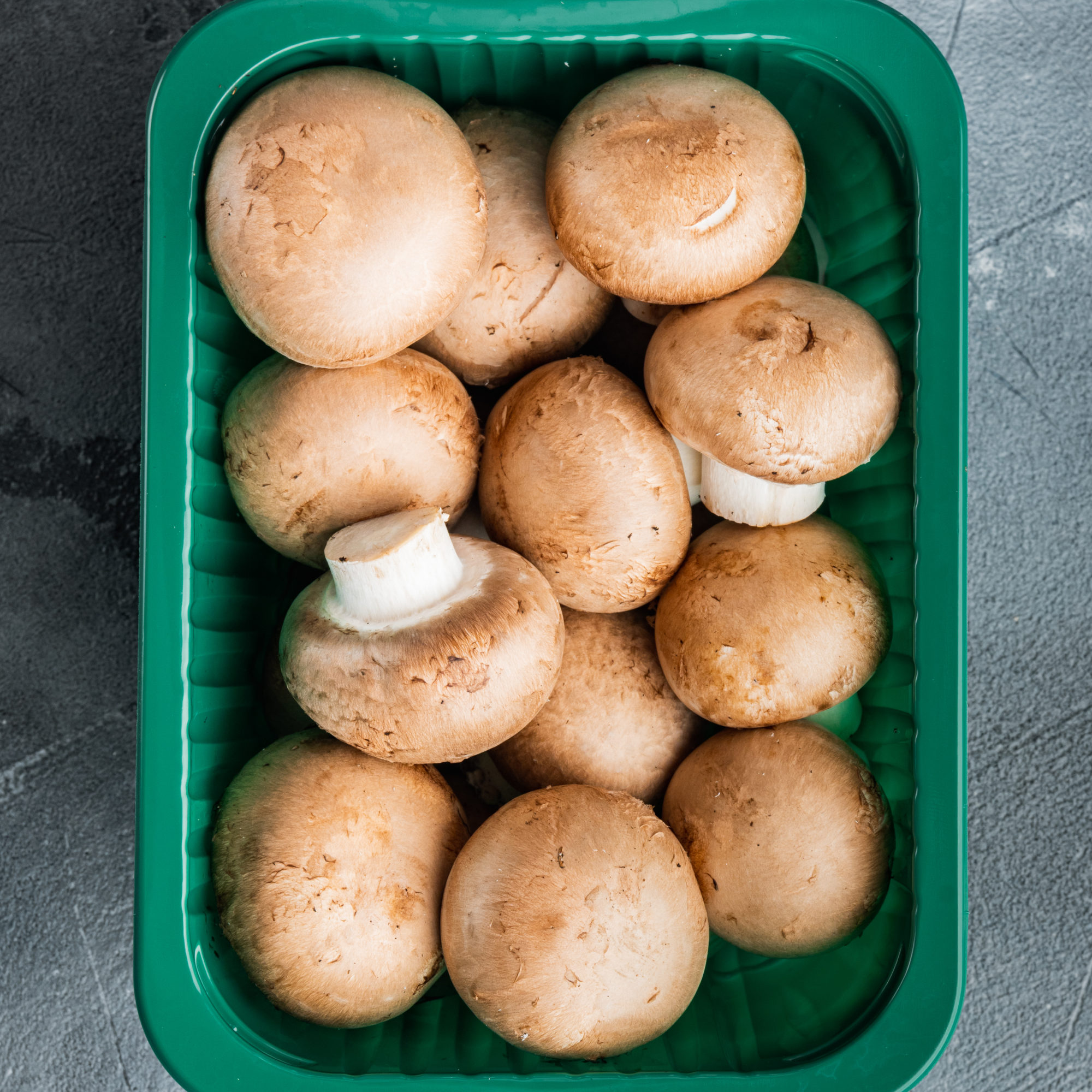 brown-champignons-mushroom-set-on-gray-background-2025-10-14-12-22-19-utc