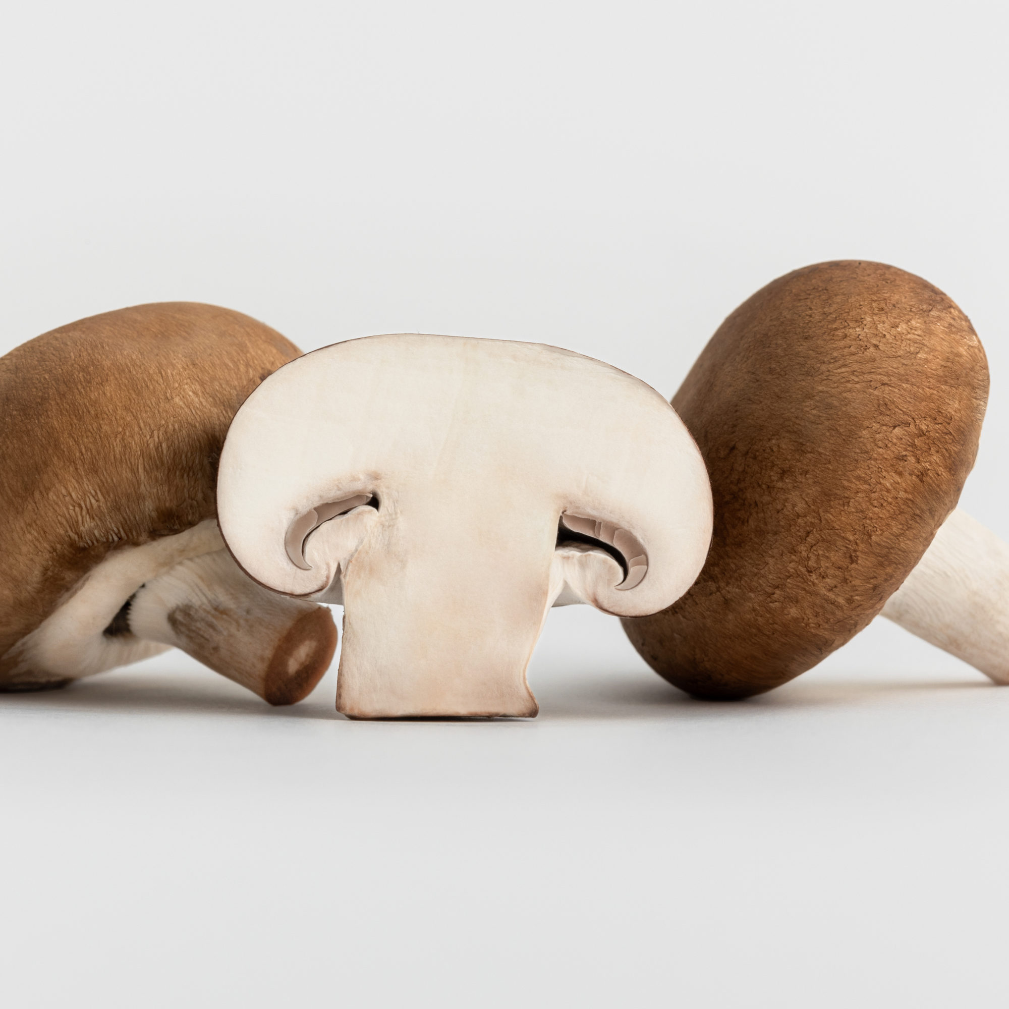 MUSHROOM PACKSHOT DEF V3-12