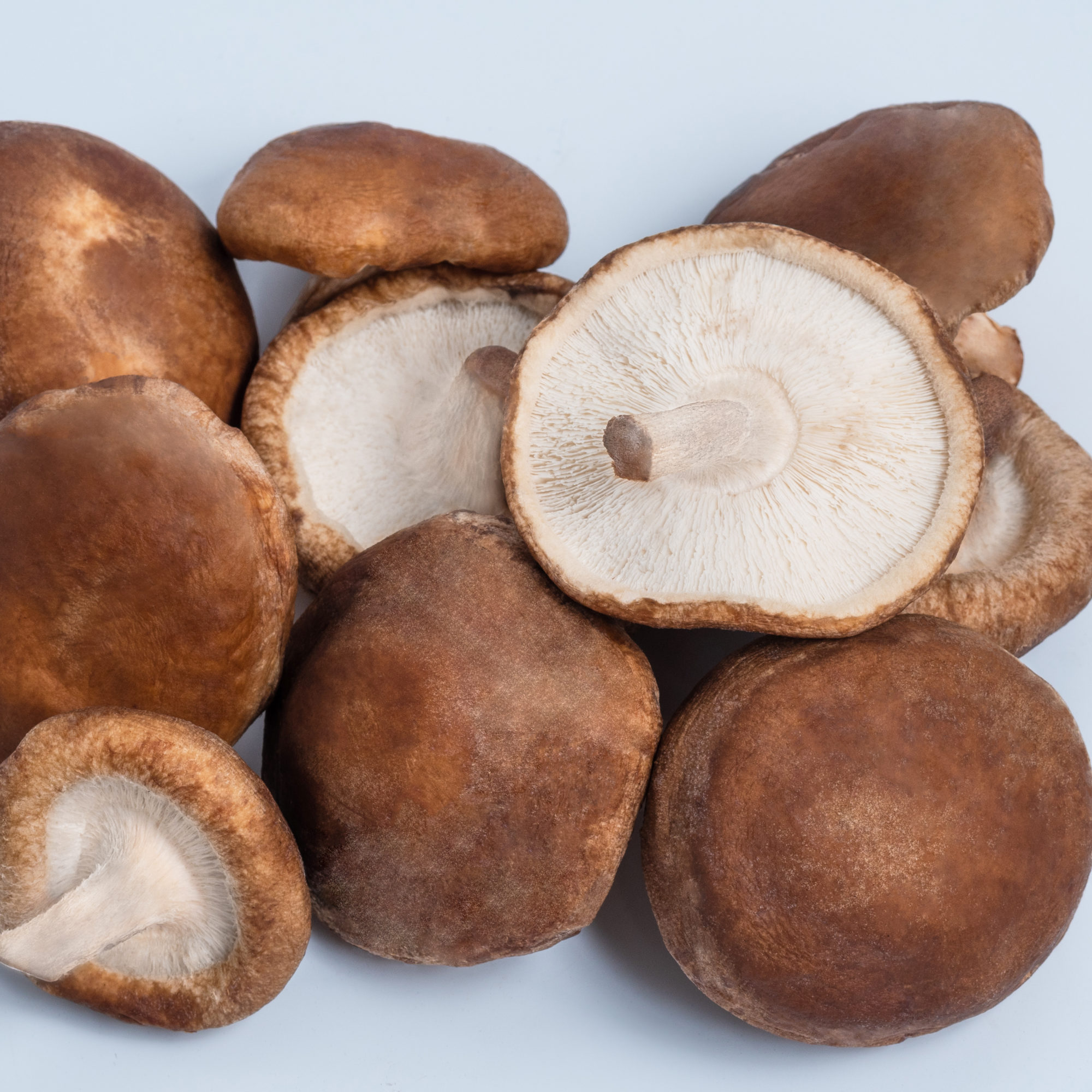 shiitake mushrooms-1