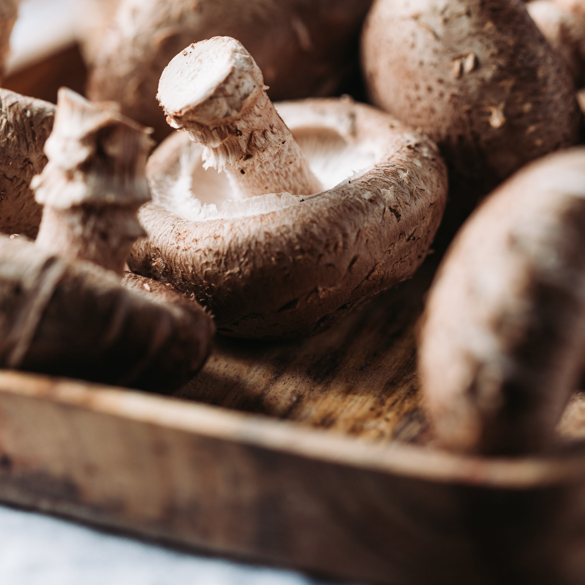 Shiitake mushrooms in a wooden bowl on a table. Macro food photography.